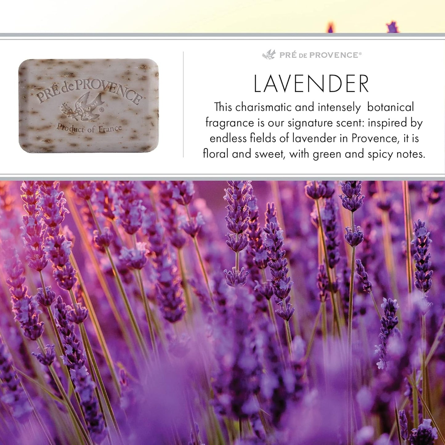 Artisanal Soap Bar, Enriched with Organic Shea Butter, Lavender - Runaway Rabbit LLC