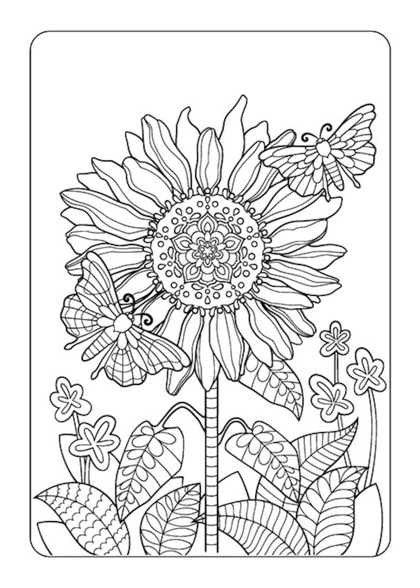 Anxiety Relief Coloring Book for Adults: Mindfulness Coloring to Soothe Anxiety - Runaway Rabbit LLC