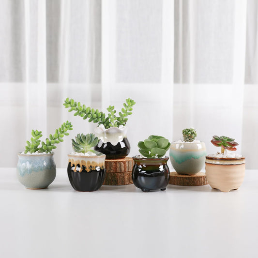 Small Ceramic Succulent Pots with Drainage Set of 12, Mini Pots for Plants - Runaway Rabbit LLC